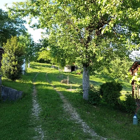 Big Stone Sphere - Bosnia Wonder Forest
